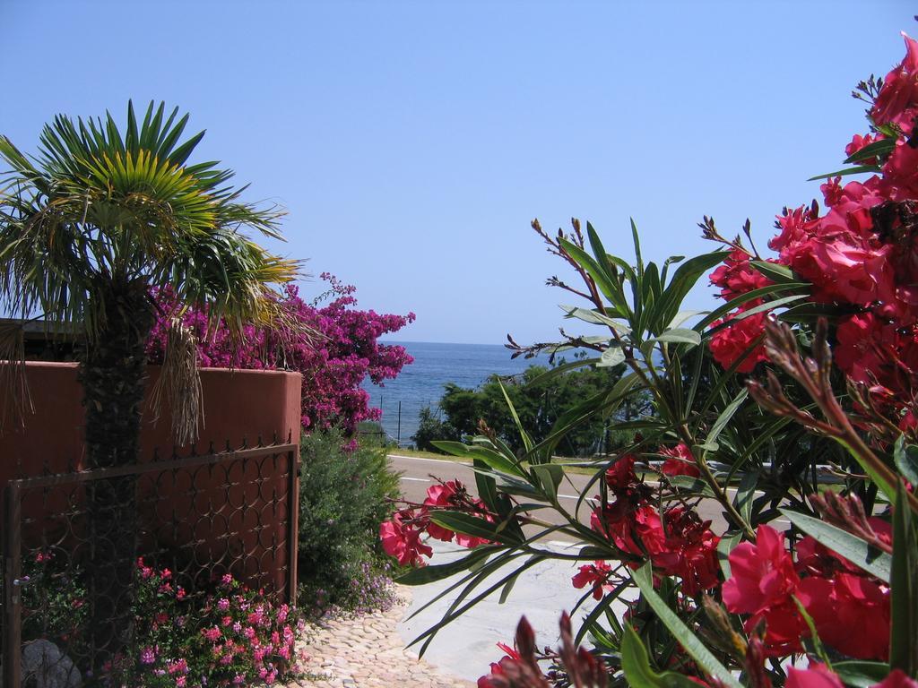 Les Bungalows De Figha Tarcu エクステリア 写真