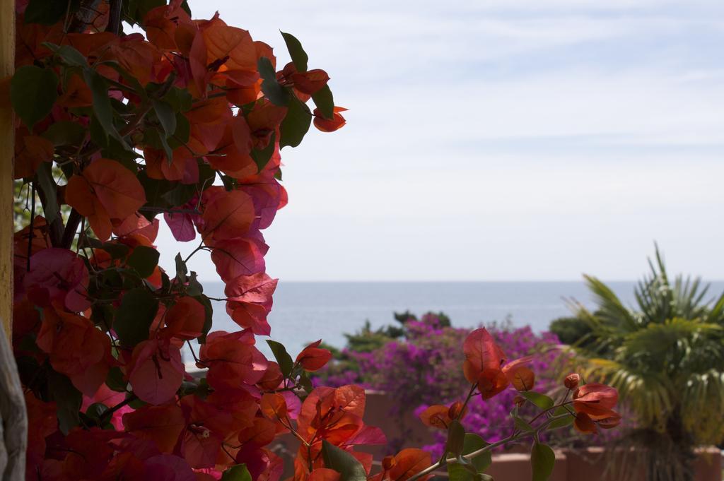 Les Bungalows De Figha Tarcu エクステリア 写真