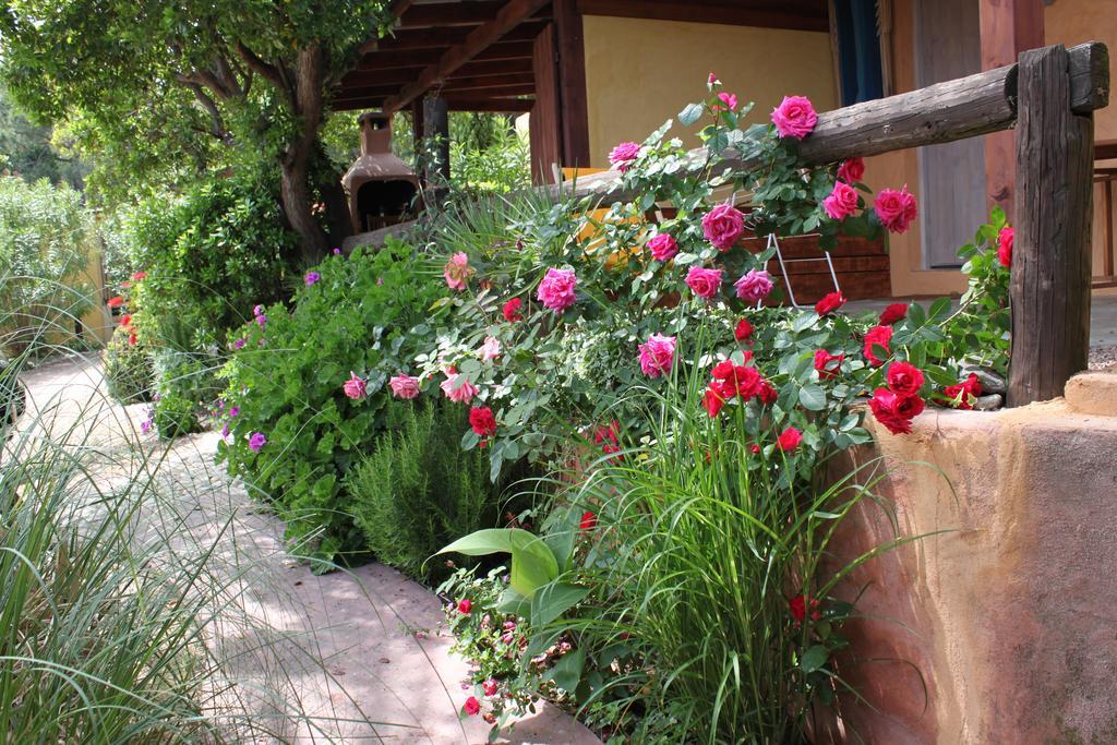 Les Bungalows De Figha Tarcu エクステリア 写真
