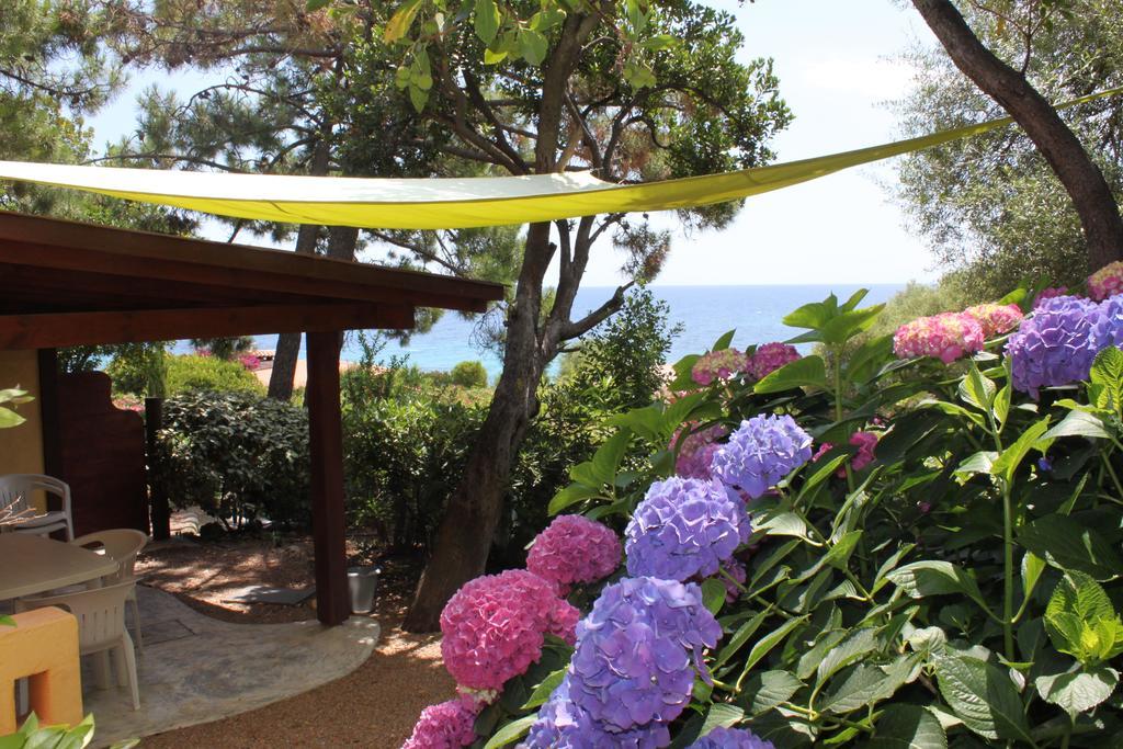 Les Bungalows De Figha Tarcu エクステリア 写真